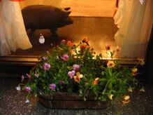 中野整体マスターズ/カイロプラクティック　カイロ