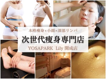 ヨサパーク リリー(YOSA PARK Lily)