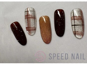 スピードネイル アンド アイ 宮交シティ店/#250 &nbsp;【マグネット×チェック】