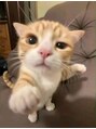 ピオミエルネイル 新宿(pio miel nail) Neko 