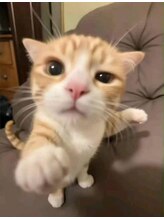ピオミエルネイル 新宿(pio miel nail) Neko 