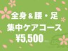 【鍼灸×ツボ押し整体】全身＆[腰 骨盤 足 膝 股関節] 下半身集中ケアコース 