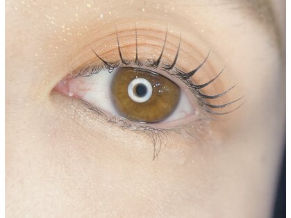 夜まつげの写真