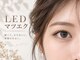 ドレス(DRESS.)の写真