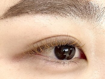 ミニョンアイラッシュデザインサロン 金剛店/フラットマットラッシュ カラー