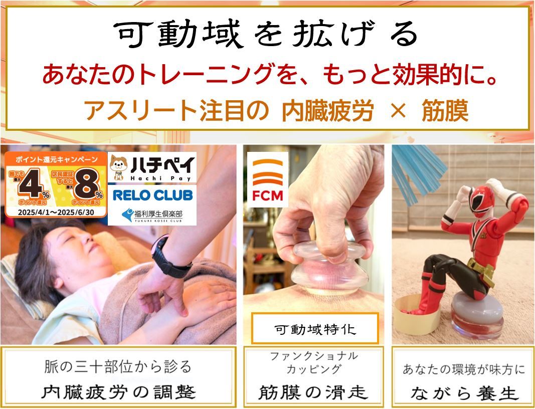 整体鍼灸医療美容家のための 院の規模が倍増する人脈ポートフォリオ戦略DVD 初田鍼院 恵比寿｜ホットペッパービューティー