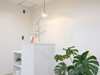 エクラ(eclat)/【 受付 】