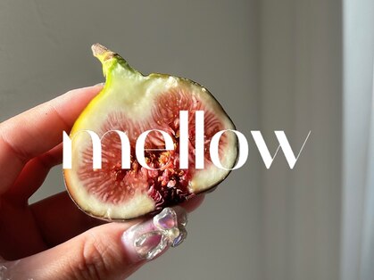 メロー(mellow)の写真
