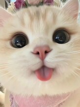 エーエヌディーネイル 新宿店(AND Nail)&nbsp;上野 パンダ