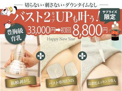 美人バスト 福岡店の写真