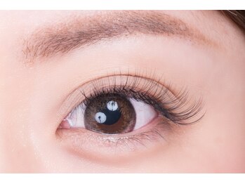 ステラ リュクス(Stella luxe)/ボリュームラッシュ☆100束