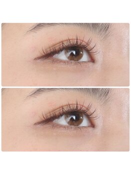 ジョリー(Jolie)/