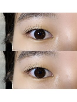 マギーソート(Magi Sot.)/