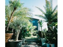 ベイビーワクシング(baby waxing)/6【道案内＿入り口】