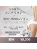 【痩身・セル脂肪・むくみ】エンダモロジー全身×脂肪分解剤2cc/1部位/¥8500
