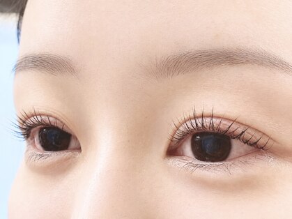 リュース(LYS)の写真