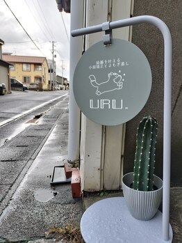 ウル(URU.)/看板です~犬じゃないよ狐だよ~