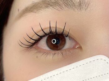 ジェミニアイラッシュ 浅草橋(gemini eyelash)/LEDエクステ