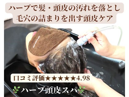 フォースマイルの写真