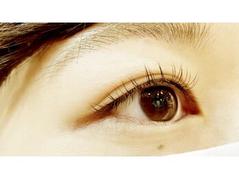 クレー(Klee)/フラットラッシュ80本