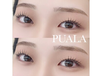 プアラ 泉大津 和泉府中(PUALA)の写真