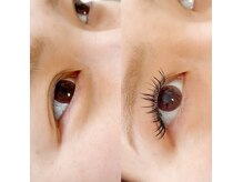 リリス(l'iris)/クローバーフラットラッシュ