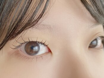 ノク(nok)/一重さん上下マツエク