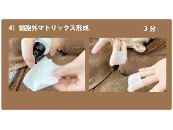 ピュール(pure)/4)ペプチド導入・コラーゲン生成