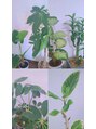 クリア リラクゼーションサロン(Clear) お家にも植物育てます♪観葉植物のお店に行くのも大好きです!