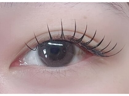 オリーブ(Olive)の写真