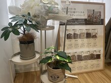 ヨサパーク シピ(YOSAOARK Chipie)/サロンインテリア