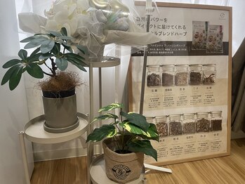 ヨサパーク シピ(YOSAOARK Chipie)/サロンインテリア