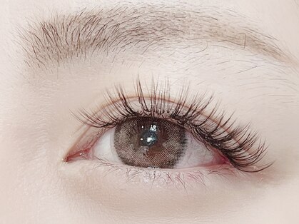 ローズヒップ(Rose Hip)の写真