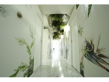 RBL 自由が丘店/店内写真