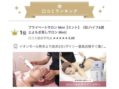 ミント(Mint)の写真