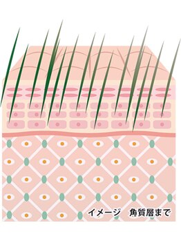 プリータ 佐久平店(Pulita)/ハーブトリートメント