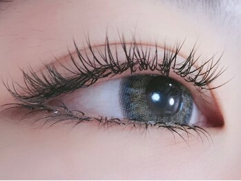 エム 新大久保店(M)/最高級セーブル120本