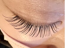 レミア 関内(REMIA)/12月　フラットラッシュ