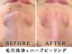 レヴィア(Revia)の写真