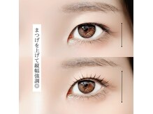 シーズントーキョー(SEASON Tokyo)/プランプラッシュリフト