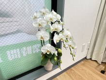 もみほぐし楽円の雰囲気（個室空間で人目も気にせず施術を受けることが出来ます♪）