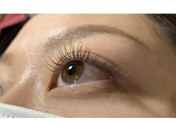 ルフリーク(Le Freak)/フラットラッシュブラウンカラー