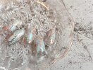 おしゃれネイル♪