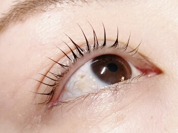 ブルーム(Bloom.)/まつげパーマ