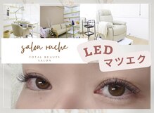 サロン ルーシュ(salon ruche)