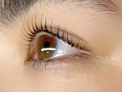 Sedi eyelash【セディ】パリジェンヌ×まつげパーマ×アイブロウの写真