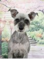 ミュウ(MUE) 犬好きです♪愛犬の吟之助に毎日癒されてます♪
