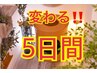 《よもぎ蒸しチャレンジ!!上級》オプションよもぎ蒸し5日連続蒸しチケット
