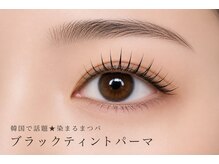 スカーレット(scarlet)/ブラックティントパーマ