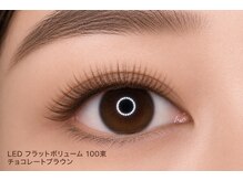 チック(chick)/LED100束ブラウン